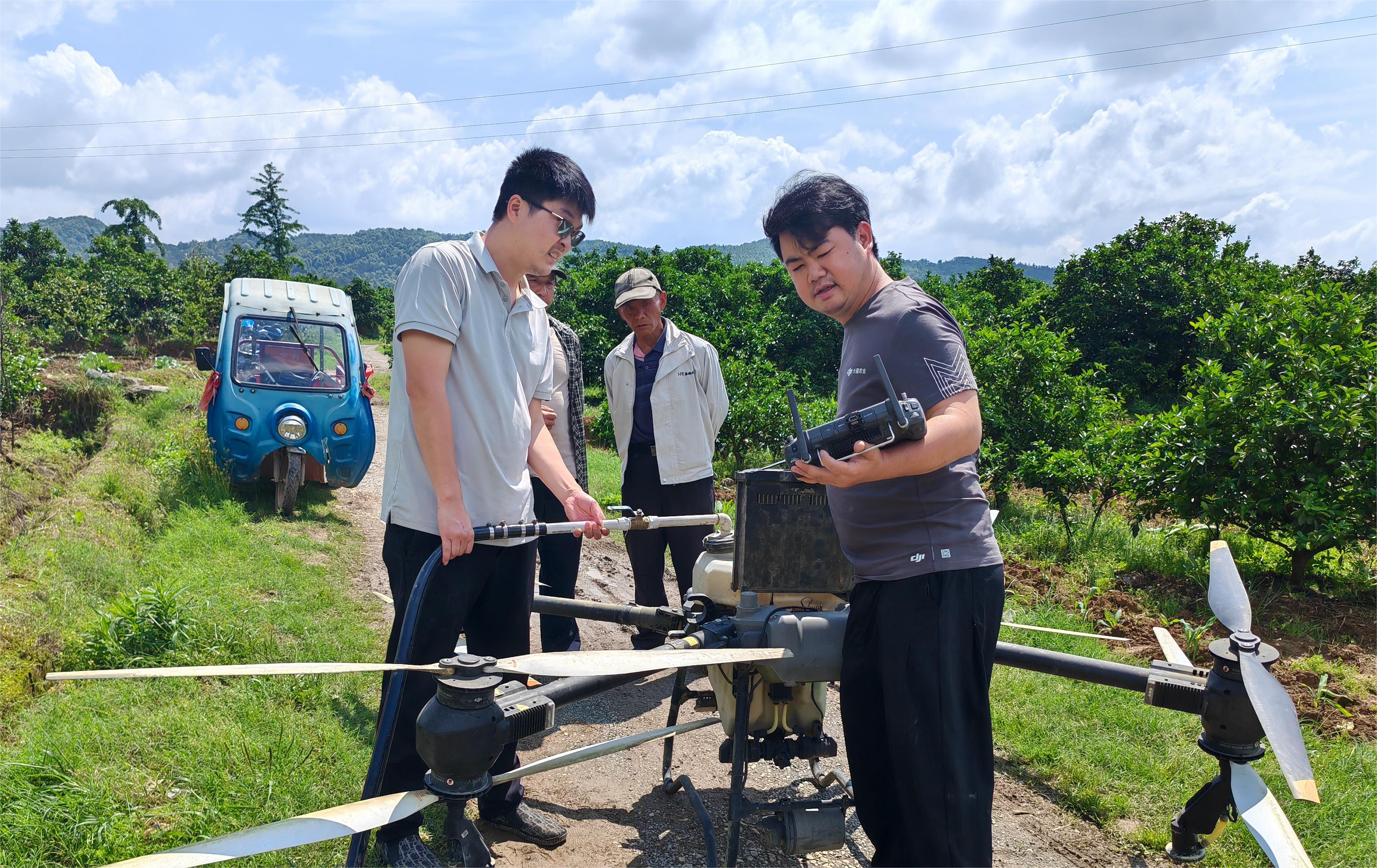 5天3万+亩!!!!尊龙时凯植保飞防队支援新宁县柑橘重大病虫害防控工作!!! 5天3万+亩!!尊龙时凯植保飞防队支援新宁县柑橘重大病虫害防控工作!!